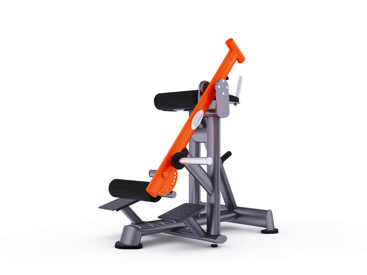 Reverse Hyperextension — T924