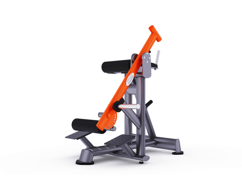 Reverse Hyperextension