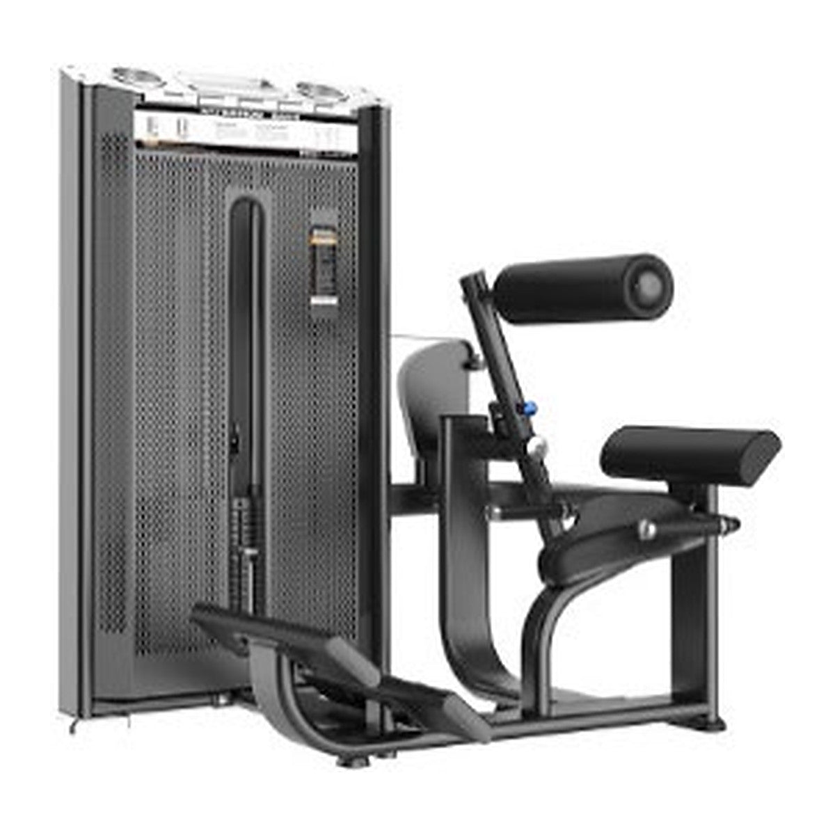 Back Extension pin-loaded strength machine