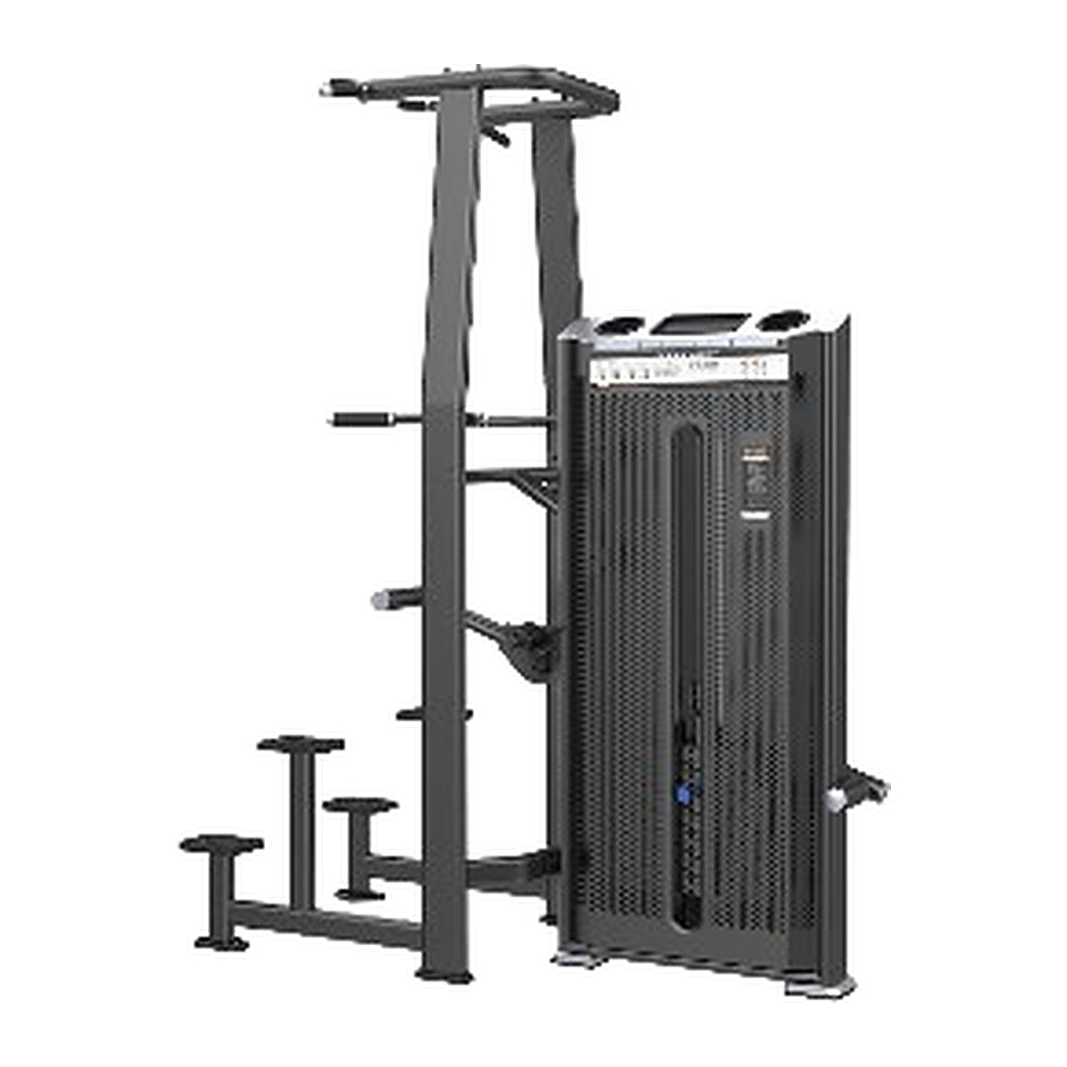 Dip / Chin Assist pin-loaded strength machine