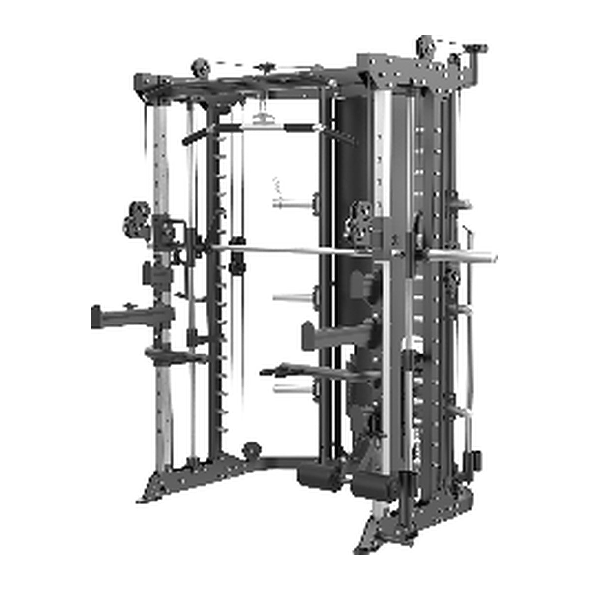 Functional Smith Machine cable machine