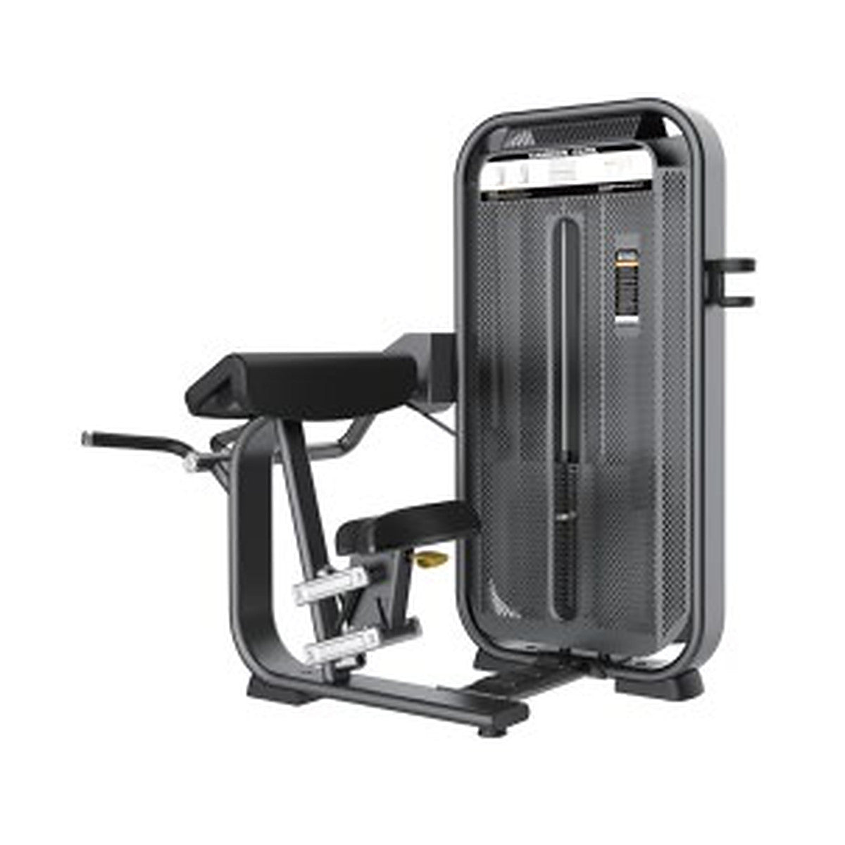 Fusion Pro — Camber Curl, selectorised pin-loaded machine
