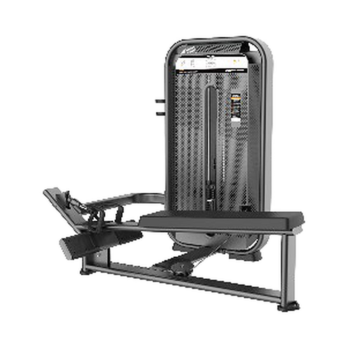 Fusion Pro — Long Pull, selectorised pin-loaded machine