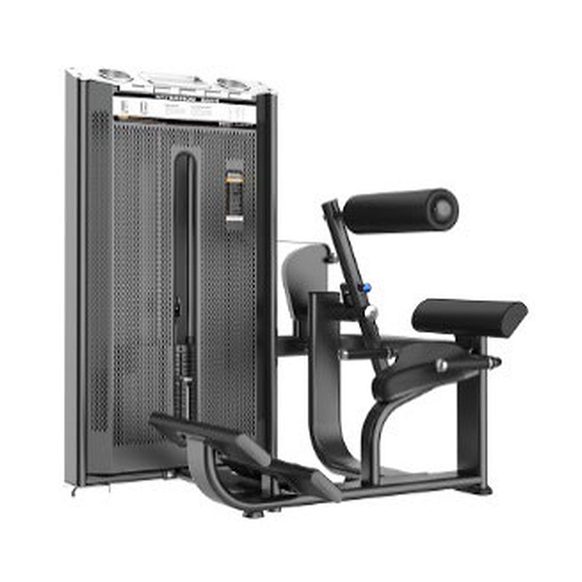 Prestige Pro — Back Extension, selectorised pin-loaded machine