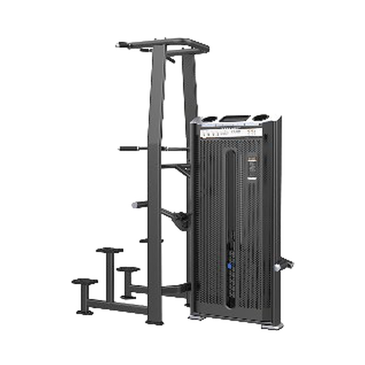 Prestige Pro — Dip/Chin Assist, selectorised pin-loaded machine